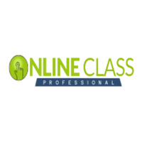 Online class professionals offer Online classes, exams, Proctoring, Quizzes and Job Placement Tests. We are providing our services from last 10+ years and we plan on sticking around for much. Come to our website and chat with our online consultant and see how you can improve your GPA in your courses. You can give us a call to us to get your free quote.